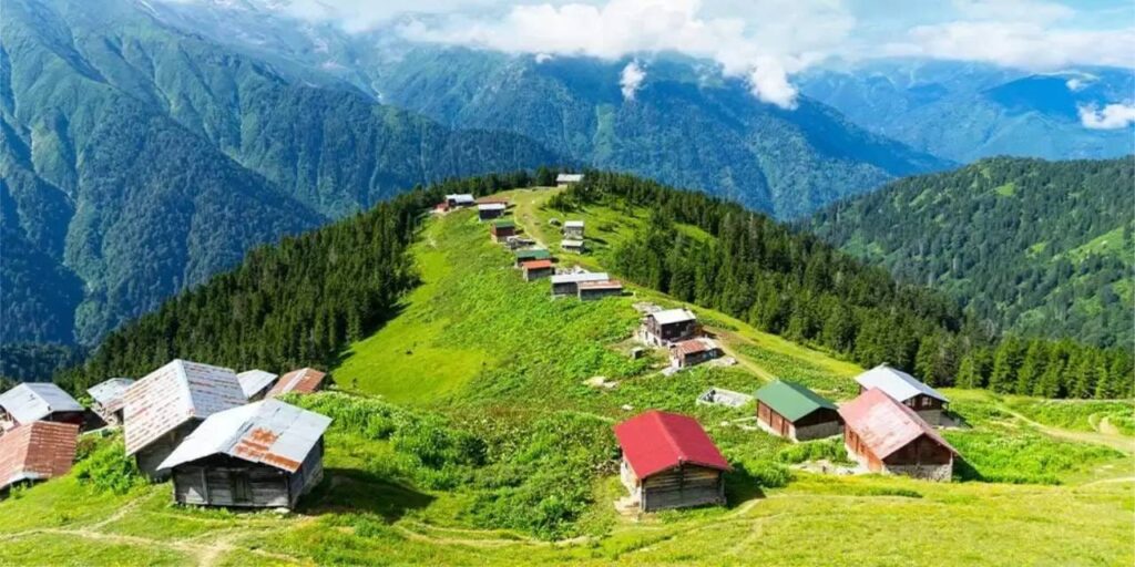 7 ayda 15 milyon dolar kazandirdi bu isi yapan koseyi donuyor U4VNdpmU