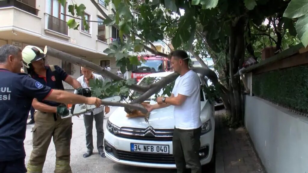 agac kamyonet carpinca otomobilin uzerine dustu uHzQiP5B