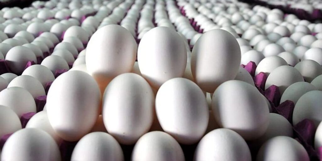 fazla uretilince fiyatlar dustu POEke5GU