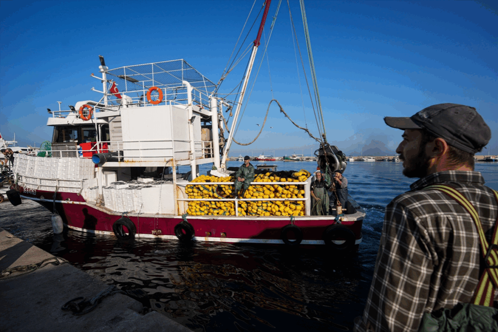 Egeli balıkçılar 90 bin TL maaşla tayfa bulamamaktan şikayetçi