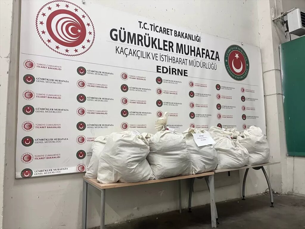 Kapıkule’de Tırda 113 Kilo Esrar Yakalandı