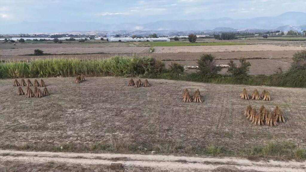 manavgat altin susami abde tescilleniyor F7dkiUmU.jpg