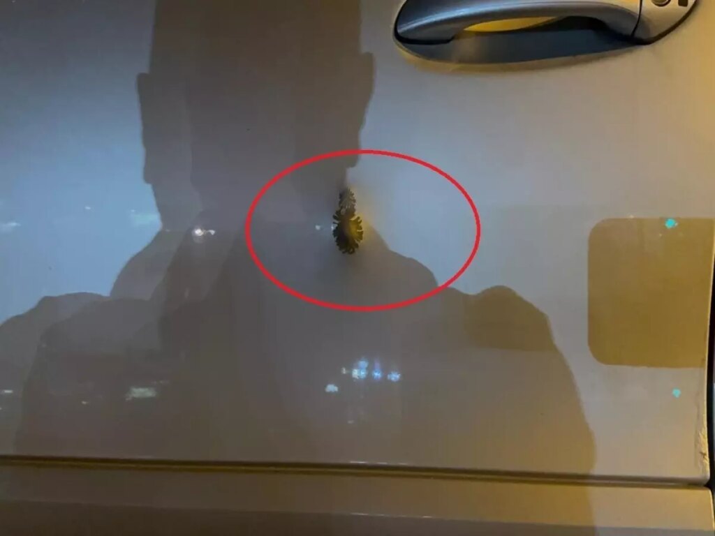 Diyarbakır’da Silahlı Saldırı: Tutuklu Sayısı 9’a Yükseldi