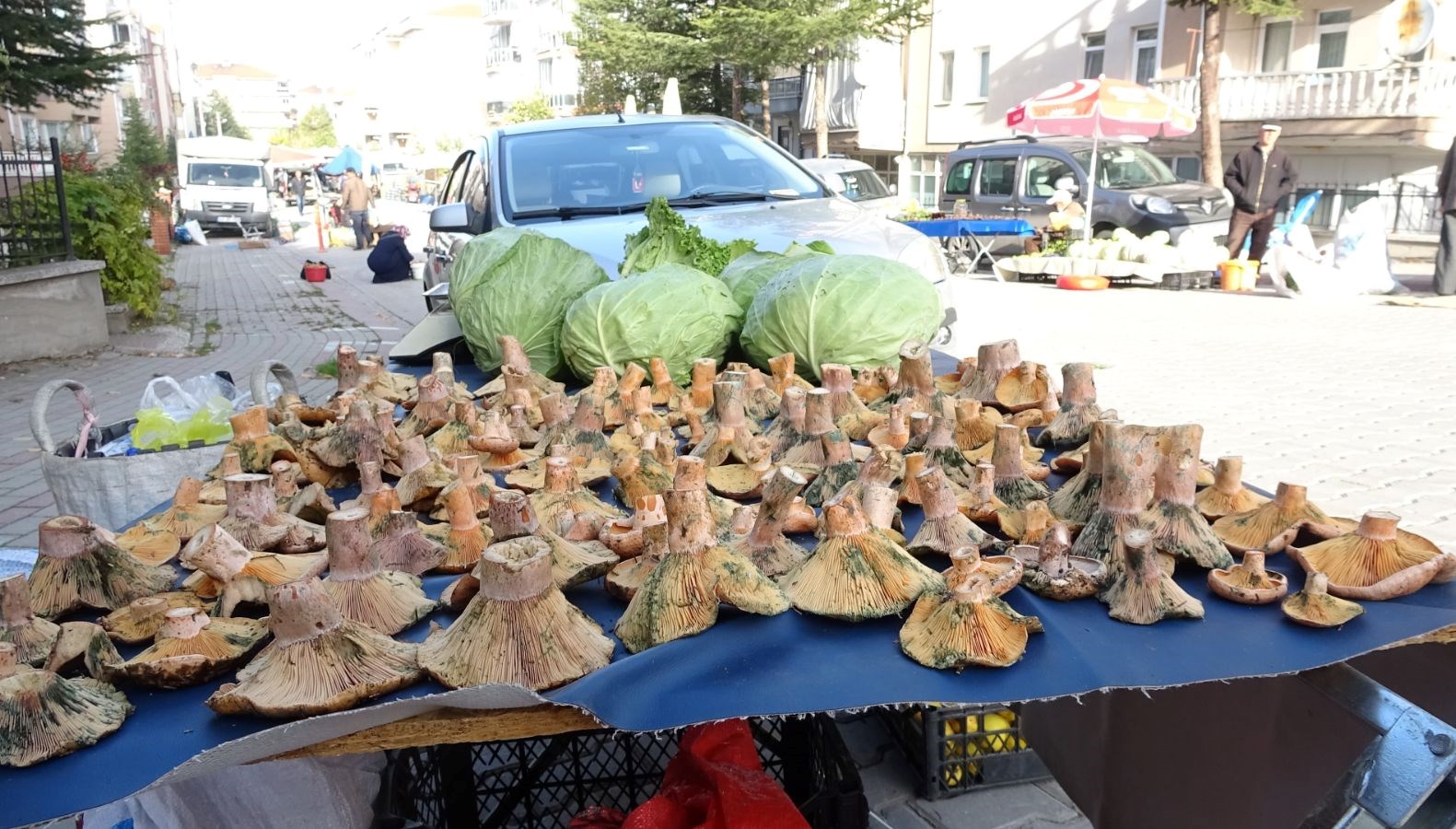 pazar tezgahlarina bereket getirdi kilosu 150 tlden basliyor DKEmyveR.jpg