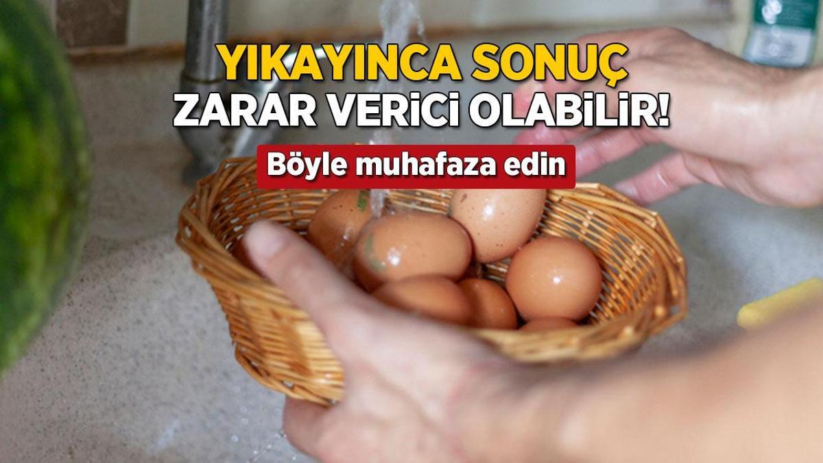 yikayinca sonuc salmonella bakterisi yumurtayi boyle muhafaza etmek sart M7GzDWYR.jpg