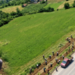 Türkiye’nin Tarımsal Zenginliği: Yol Kenarında Yetişen Süper Gıdalarla Milyoner Olmak Mümkün