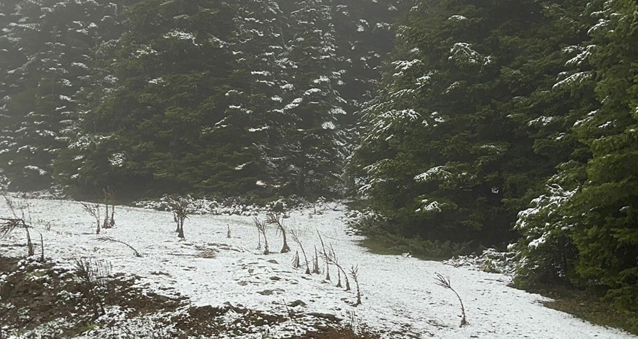 Bolu Dağları’nda Mayıs Ayında Kar Yağışı Görüldü