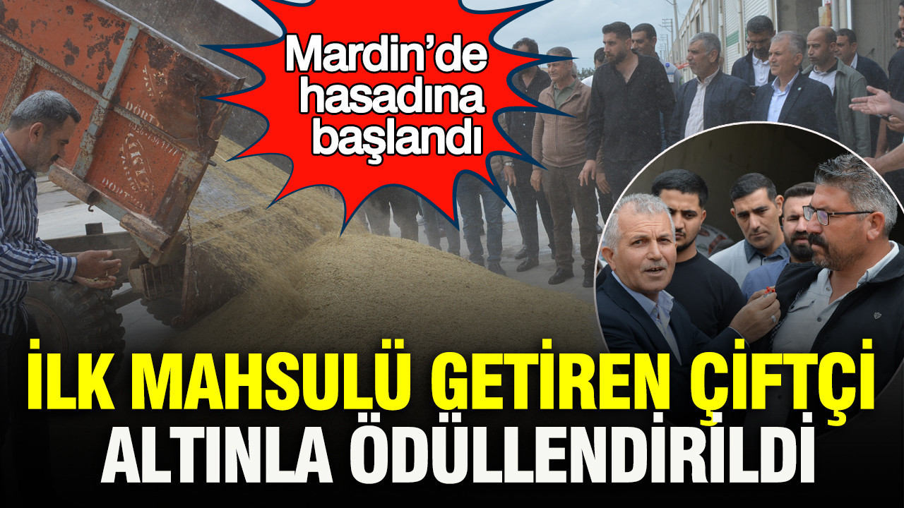 Mardin’de İlk Hasat Sevinci: Çiftçiye Altın Ödülü