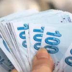 Hazine imkanlariyla ciftci ve esnafa finansman destegi mTO8e4Hk